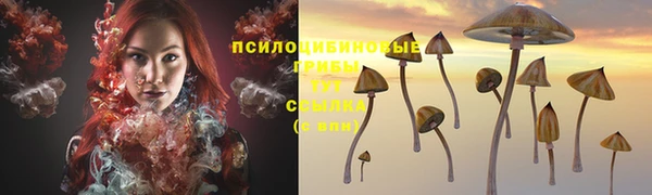 гидропоника Богородск