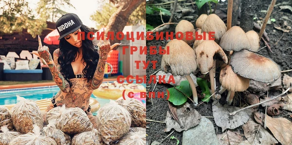 мяу мяу мука Богородицк